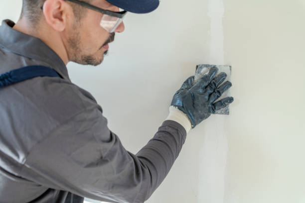 Best Wallpaper Removal and Painting  in Eagle Butte, SD